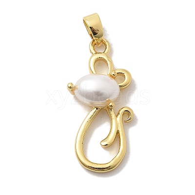 Rack Plating Brass Pendants KK-K293-24F-G-1
