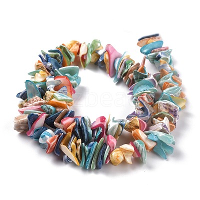 Natural Spiral Shell Beads X-BSHE-B003-17-1
