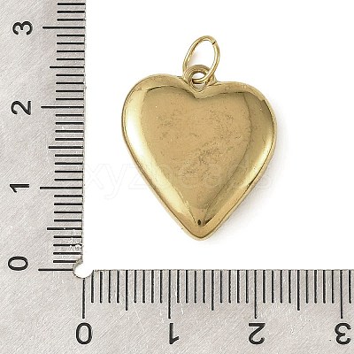 Baking Paint 304 Stainless Steel Pendants STAS-C178-01D-1