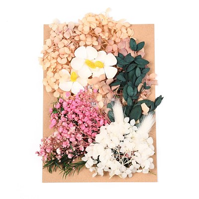 Dried Flower DIY-B018-08-1