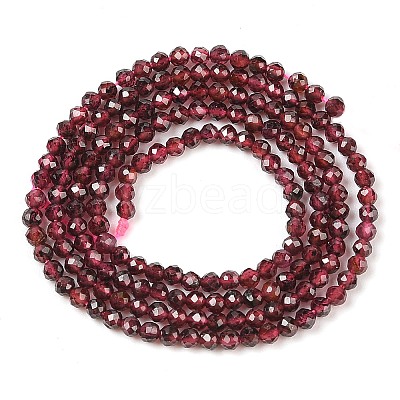 Natural Garnet Beads Strands X-G-F619-17A-2mm-1