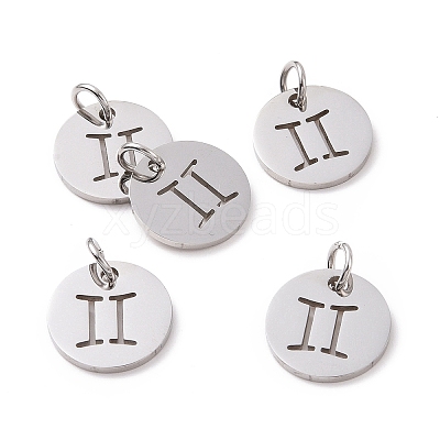 Non-Tarnish 304 Stainless Steel Charms STAS-Q201-T445-3S-1