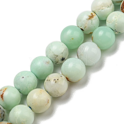 Natural Green Opal Beads Strands G-R494-A08-02-1