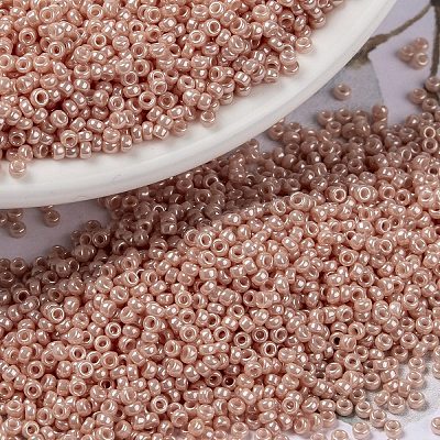 MIYUKI Round Rocailles Beads X-SEED-G009-RR0429-1
