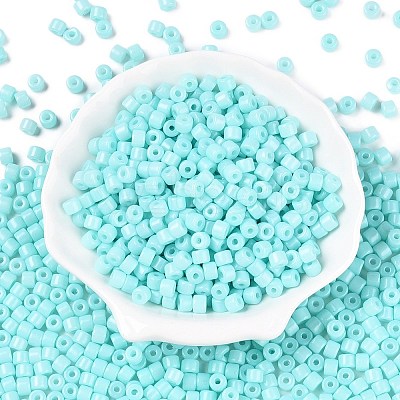 Opaque Baking Paint Glass Seed Beads SEED-T008-02N-1