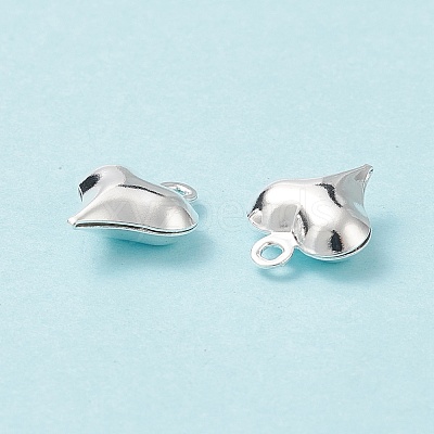 304 Stainless Steel Charms STAS-I138-11A-S-1