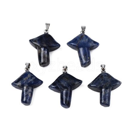 Natural Sodalite Pendants G-R480-02I-1