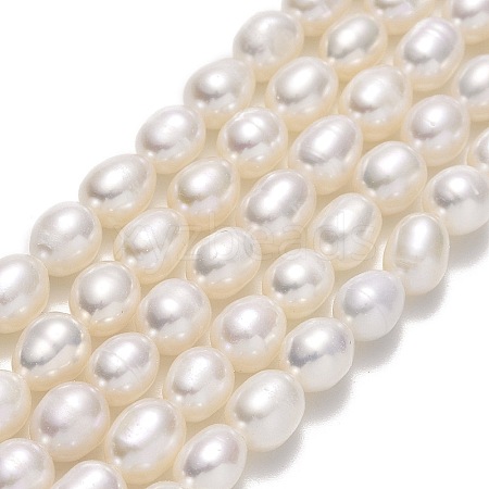 Natural Cultured Freshwater Pearl Beads Strands PEAR-J006-17D-1