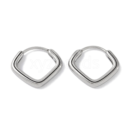 Non-Tarnish 316 Surgical Stainless Steel Hoop Earrings for Women EJEW-P274-18B-P-1