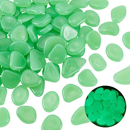 1 Set Resin Luminous Glow in the Dark Pebbles Stone DJEW-CN0001-40D-1