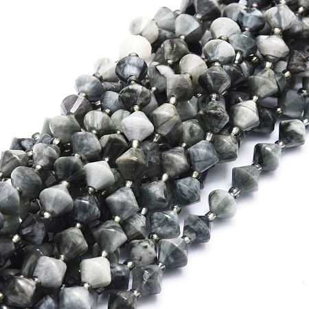 Natural Eagle Eye Stone Beads Strands G-E569-C10-1