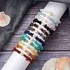 12Pcs Natural & Synthetic Gemstone Chips Stretch Bracelets for Women BJEW-JB11343-1