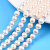 Natural Cultured Freshwater Pearl Beads Strands PEAR-N016-07A-1