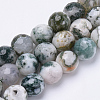 Natural Tree Agate Beads Strands G-S281-15-6mm-1