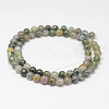 Natural Moss Agate Beads Strands G-F342-01-6mm-2