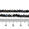 Natural Sapphire Beads Strands G-P553-G07-02-5