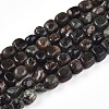 Natural Biotite Beads Strands G-N346-04A-02-2