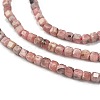 Natural Argentina Rhodonite Beads Strands G-Z057-A01-01-3