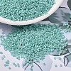 MIYUKI Delica Beads SEED-X0054-DB1576-1