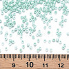 13/0 Glass Seed Beads SEED-T005-14A-A19-4