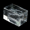 3D Laser Engraving Animal Glass Figurine DJEW-R013-01B-5