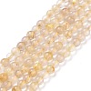 Natural Gold Rutilated Quartz Beads Strands G-C009-C04-1