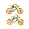 304 Stainless Steel Pendants STAS-D263-12A-G-1