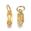 Brass Micro Pave Cubic Zirconia Charms ZIRC-F111-03G-01-2