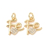 Rack Plating Brass Micro Pave Clear Cubic Zirconia Charms X-ZIRC-C042-03G-2