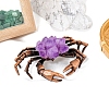 Natural Amethyst Crab Display Decorations PW-WG0F92B-01-1