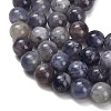 Natural Iolite Beads Strands X-G-G300-A04-8mm-4