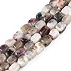 Natural Plum Blossom Tourmaline Beads Strands G-T141-12A-1