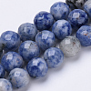 Natural Brazil Sodalite Beads Strands G-S281-10-8mm-1