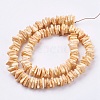 Natural Sea Shell Beads Strands BSHE-K012-08-2