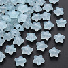 Transparent Acrylic Beads MACR-S373-26E-07-1