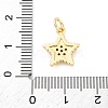 Brass Micro Pave Cubic Zirconia Charms KK-S510-11G-3