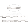 Tarnish Resistant 304 Stainless Steel Paperclip Chains CHS-F010-01D-P-1