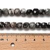 Natural Black Netstone Beads Strands G-H078-C32-01-5