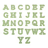 Alphabet Resin Rhinestone Patches DIY-TAC0005-45G-1