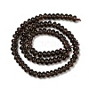 Natural Smoky Quartz Beads Strands G-H085-E01-01-3