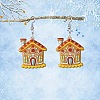 6 Pairs Acrylic Dangle Earrings FS-WGE6FEA-01-3