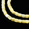 Natural Trochid Shell/Trochus Shell Bead Strands SSHEL-N034-77-C06-3