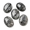 Natural Larvikite Cabochons G-C115-01B-40-1