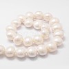 Shell Pearl Bead Strands BSHE-L028-01-16x18-2