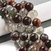 Natural Four Seasons Lodolite Quartz Beads Strands G-Z063-A02-01-2