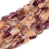 Handmade Lampwork Beads Strands LA-N046-01I-1