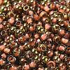 Glass Seed Beads X1-SEED-H002-B-D204-3