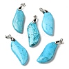 Dyed Natural Magnesite Pendants G-Q181-01-1