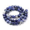 Natural South Africa Sodalite Beads Strands G-S259-35-6mm-3