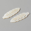 Natural Freshwater Shell Pendants SHEL-N026-82-3